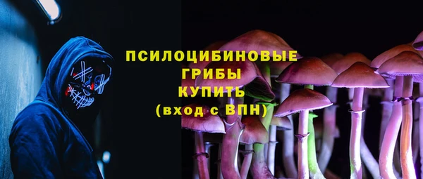 стафф Аркадак